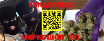 МДПВ Славгород