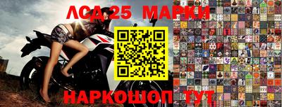 МДПВ Славгород