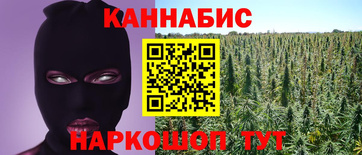 Бошки Шишки ГИДРОПОН  Бошки марихуана White Widow  Нефтекумск  Бошки Шишки план  Вход с VPN 